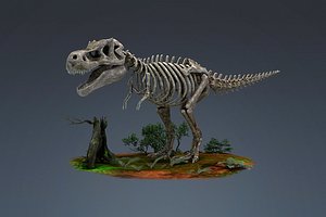 fossils dinosaurs tyrannosaurs skeletons 3D
