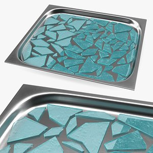 3D model Heisenberg Shard Sample in Dish