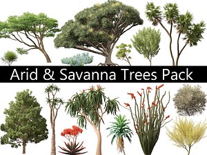 3D model Arid Savanna Trees Pack 24