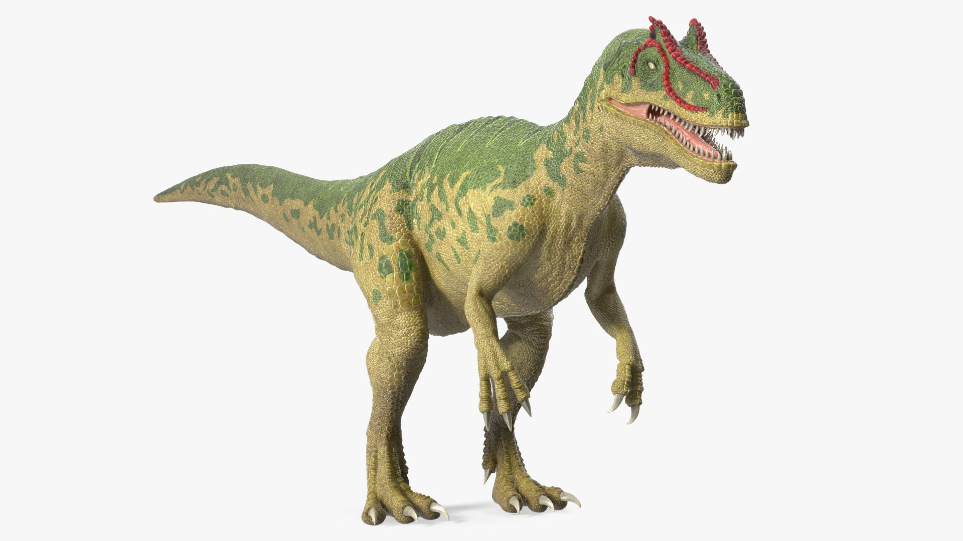 Rigged Dinosaurs Collection 8 3D model https://p.turbosquid.com/ts-thumb/gB/psldnm/3z/riggeddinosaurscollection83dsmodel028/jpg/1711247483/1920x1080/fit_q87/20ecd610d9d1f51e83eaa38a5b2407fa2327199c/riggeddinosaurscollection83dsmodel028.jpg