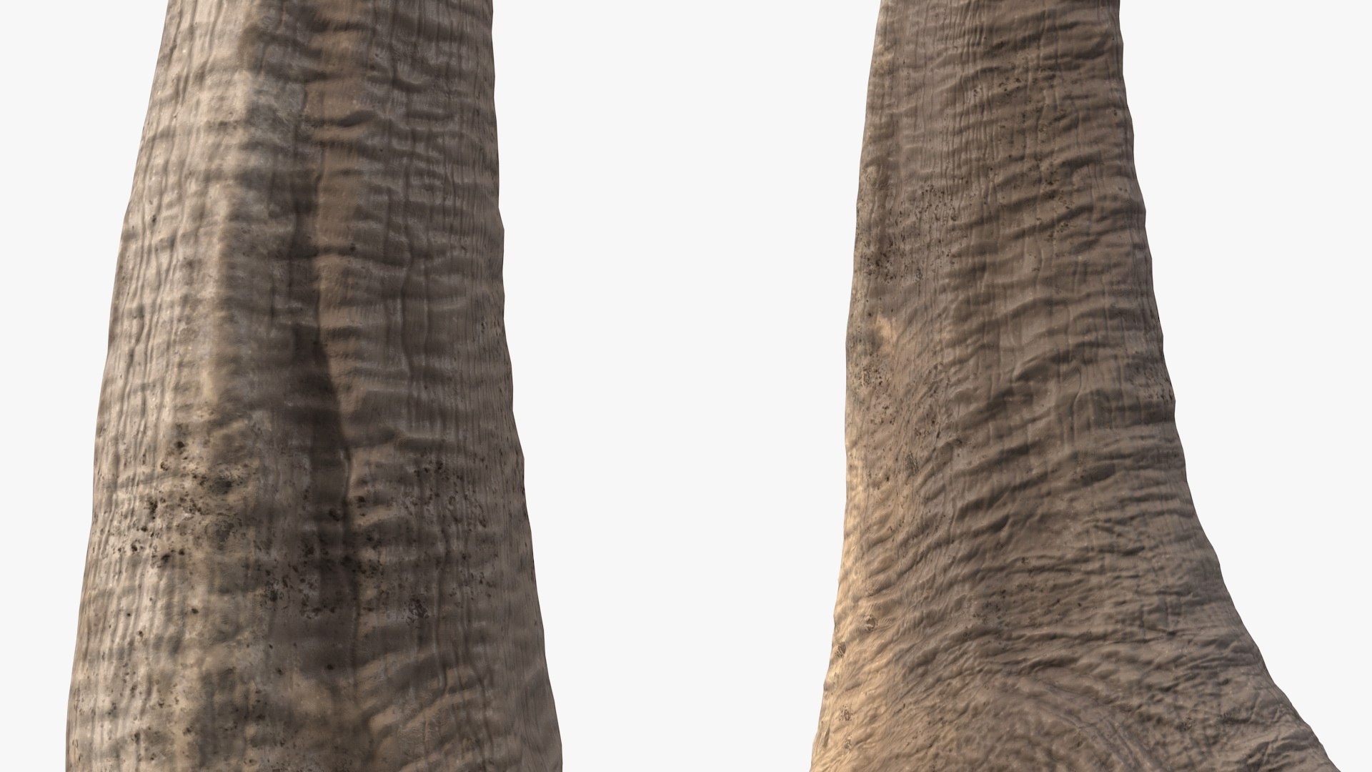 Rigged Dinosaurs Collection 8 3D model https://p.turbosquid.com/ts-thumb/gB/psldnm/8o/riggeddinosaurscollection83dsmodel089/jpg/1711247762/1920x1080/fit_q87/b099a187ad77ca0512877970bac3a64032335ccb/riggeddinosaurscollection83dsmodel089.jpg