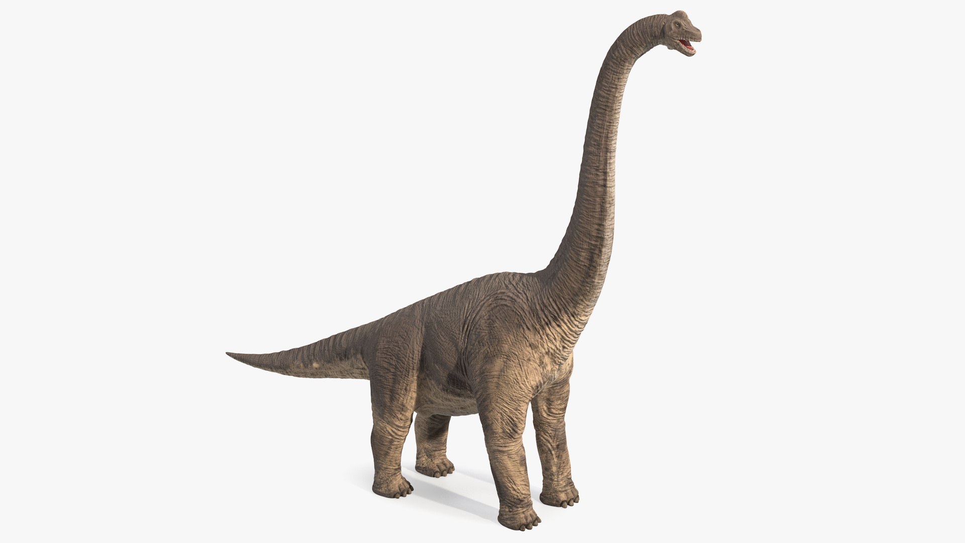 Rigged Dinosaurs Collection 8 3D model https://p.turbosquid.com/ts-thumb/gB/psldnm/Nn/riggeddinosaurscollection83dsmodel086/jpg/1711247742/1920x1080/fit_q87/6019327308572708898d8995e791eab2f2a251c7/riggeddinosaurscollection83dsmodel086.jpg