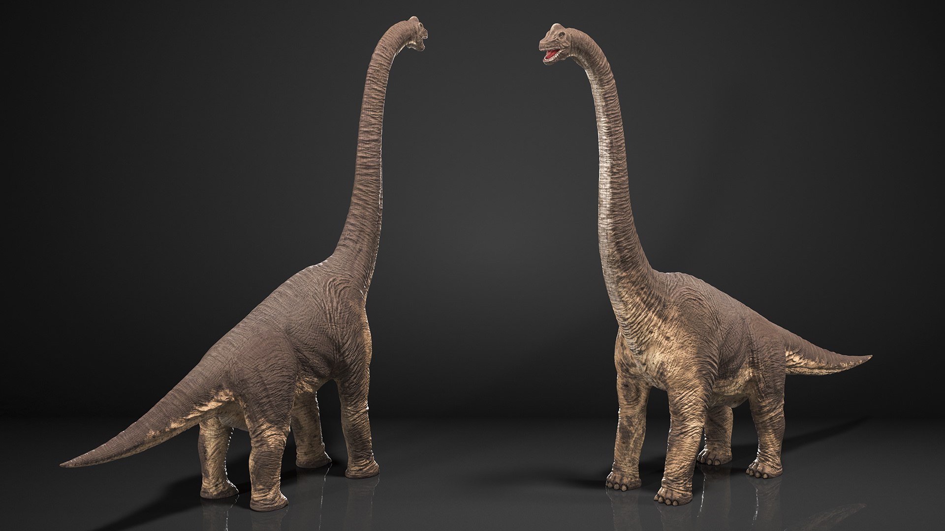 Rigged Dinosaurs Collection 8 3D model https://p.turbosquid.com/ts-thumb/gB/psldnm/YK/riggeddinosaurscollection83dsmodel082/jpg/1711247723/1920x1080/fit_q87/ac408ac976f9466aa0b821799ea929ee06aecf96/riggeddinosaurscollection83dsmodel082.jpg