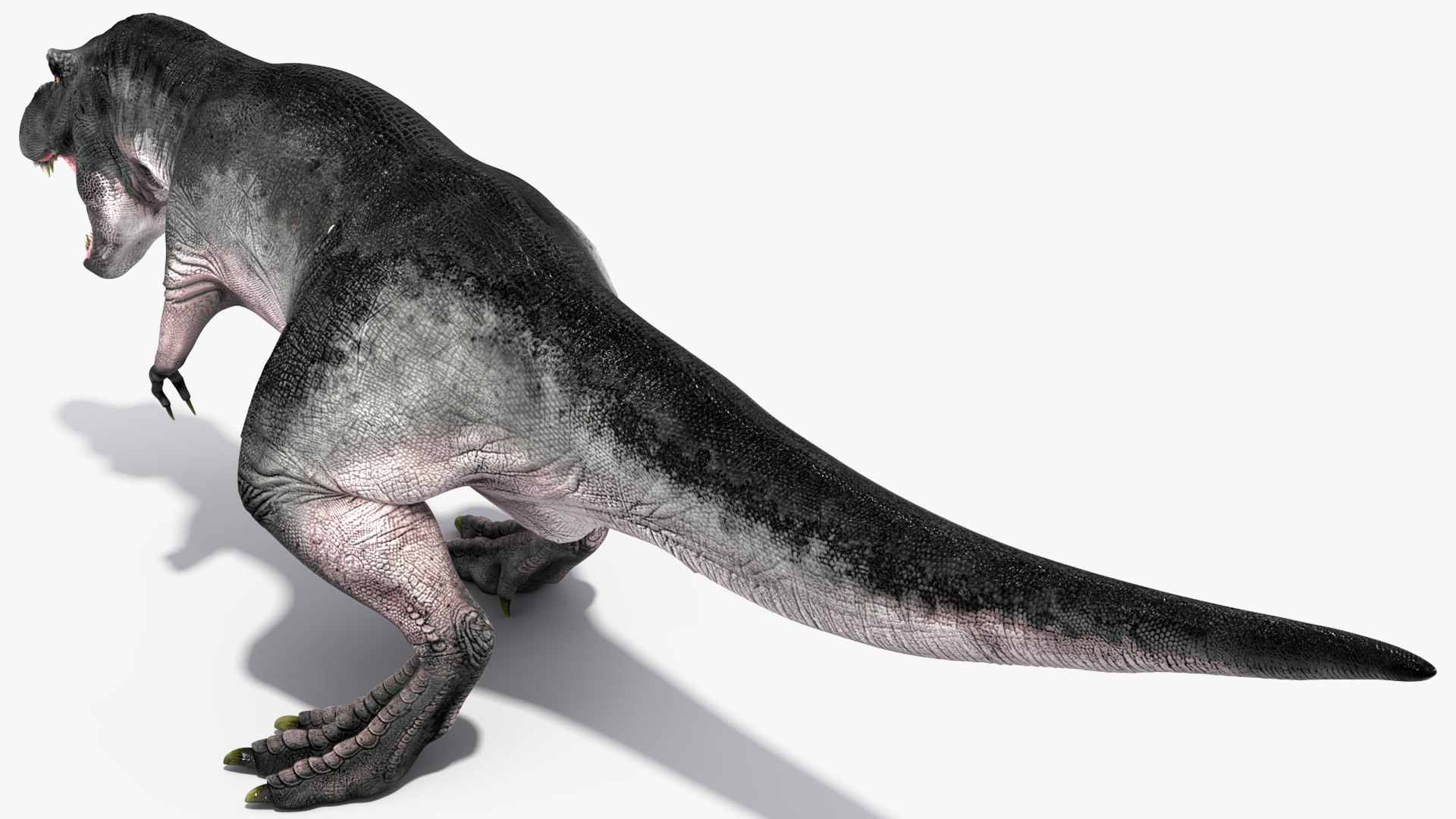 Rigged Dinosaurs Collection 8 3D model https://p.turbosquid.com/ts-thumb/gB/psldnm/d0/riggeddinosaurscollection83dsmodel049/jpg/1711247582/1920x1080/fit_q87/4b82c818ae18959cb5f7f0b94283b76a5d0b8c31/riggeddinosaurscollection83dsmodel049.jpg