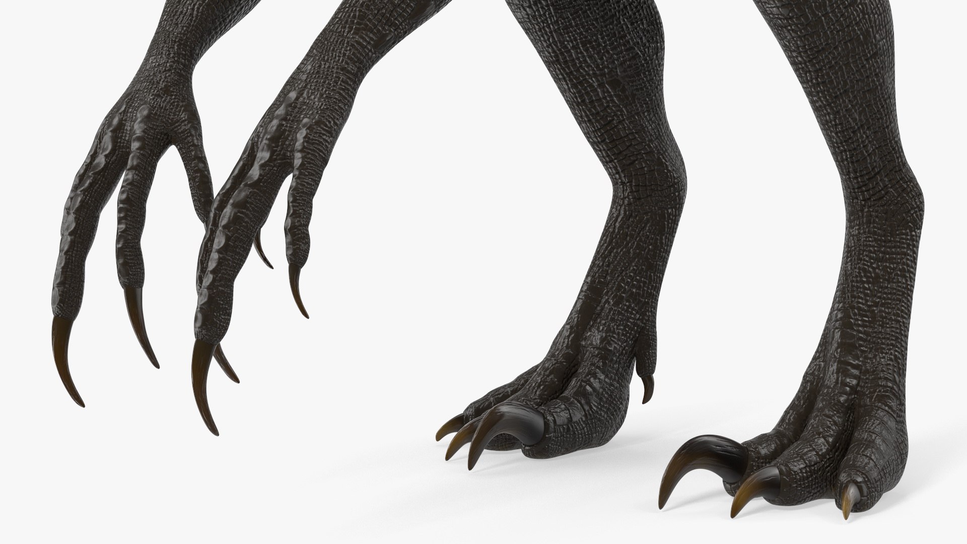 Rigged Dinosaurs Collection 8 3D model https://p.turbosquid.com/ts-thumb/gB/psldnm/iJ/riggeddinosaurscollection83dsmodel074/jpg/1711247688/1920x1080/fit_q87/850a429a81bd76eb8d4531c1c3bcdc913c4e8f91/riggeddinosaurscollection83dsmodel074.jpg