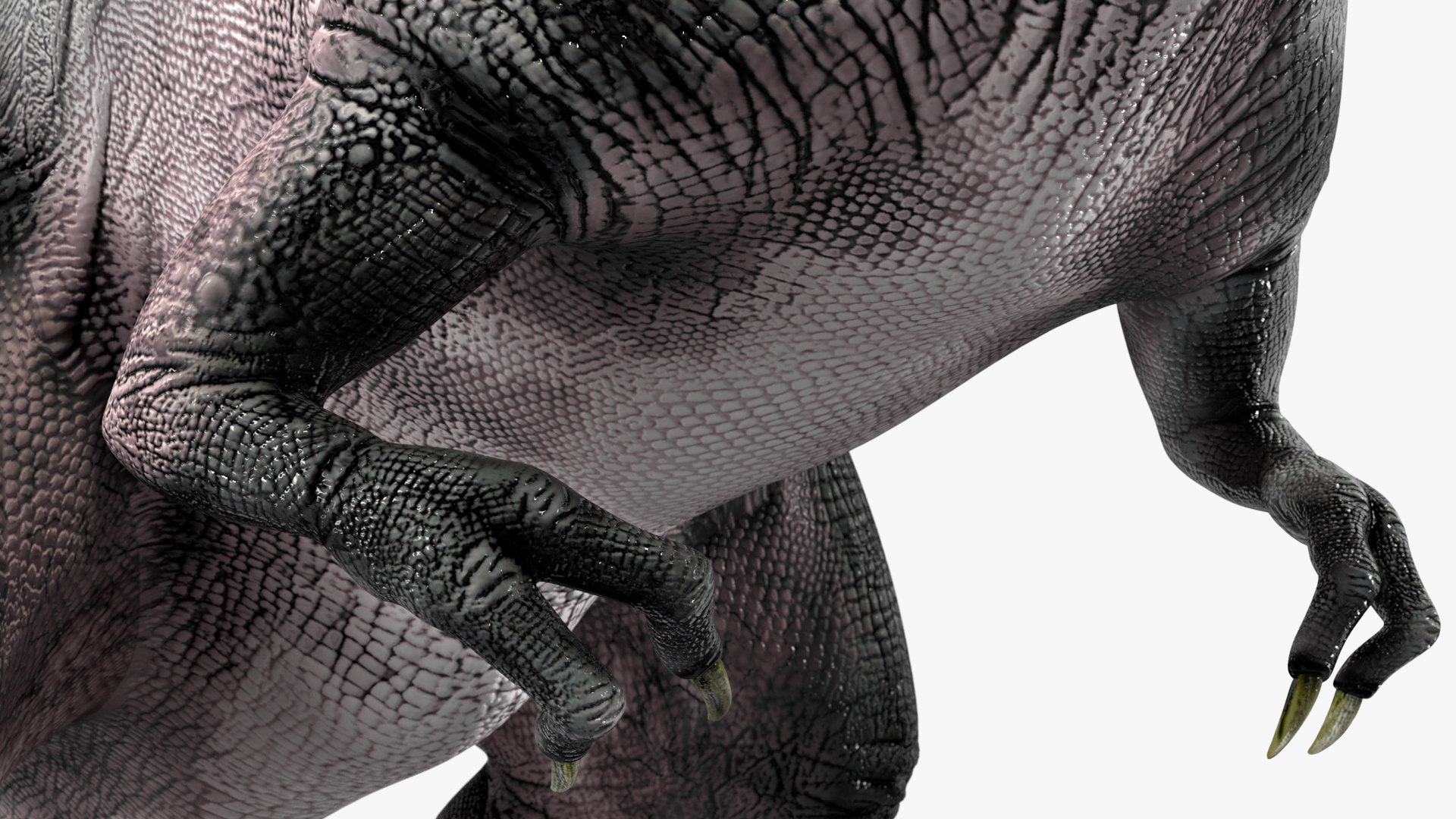 Rigged Dinosaurs Collection 8 3D model https://p.turbosquid.com/ts-thumb/gB/psldnm/qL/riggeddinosaurscollection83dsmodel053/jpg/1711247601/1920x1080/fit_q87/4ff0606911eb27b785cc270ab326ae21f4defaeb/riggeddinosaurscollection83dsmodel053.jpg