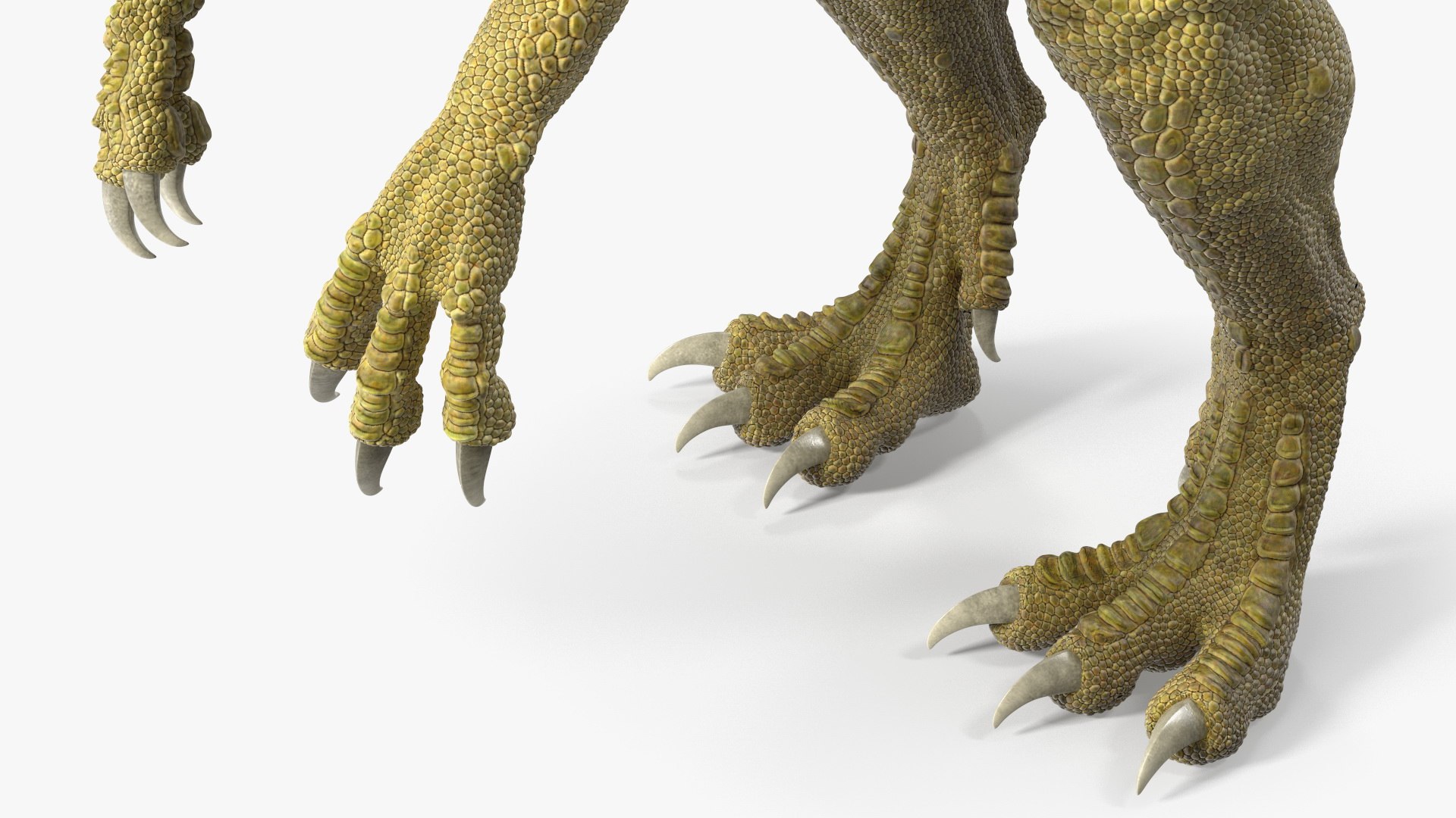 Rigged Dinosaurs Collection 8 3D model https://p.turbosquid.com/ts-thumb/gB/psldnm/sq/riggeddinosaurscollection83dsmodel036/jpg/1711247516/1920x1080/fit_q87/4d3e613893931332bf51a04e3d16fbc09663ea20/riggeddinosaurscollection83dsmodel036.jpg