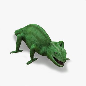 Chameleon