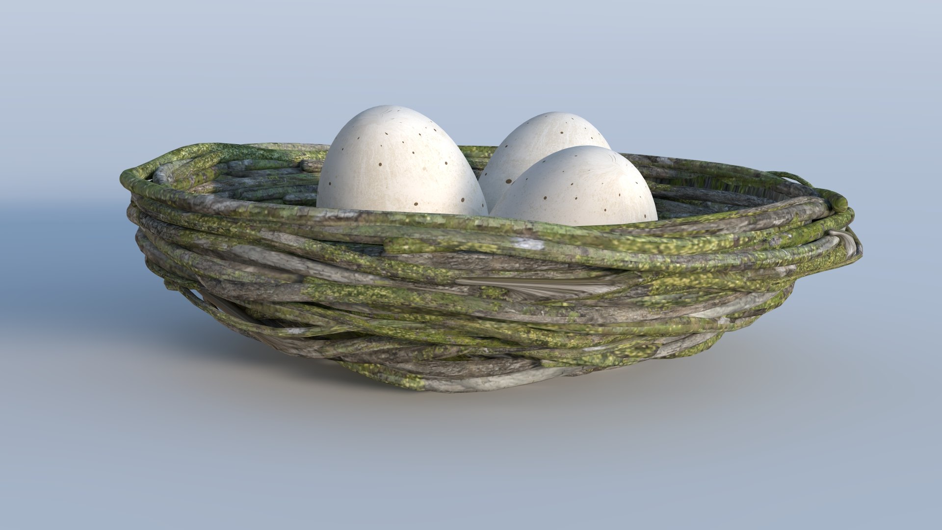 Bird S Nest 3D Model - TurboSquid 1211221