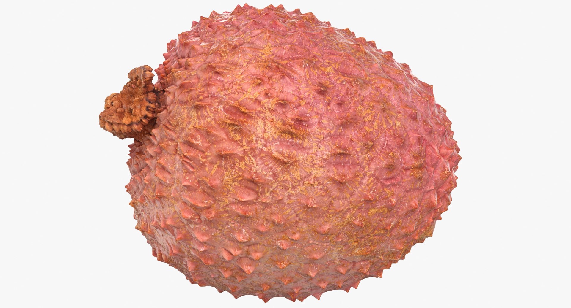 Lychee 02 3D model - TurboSquid 1518838