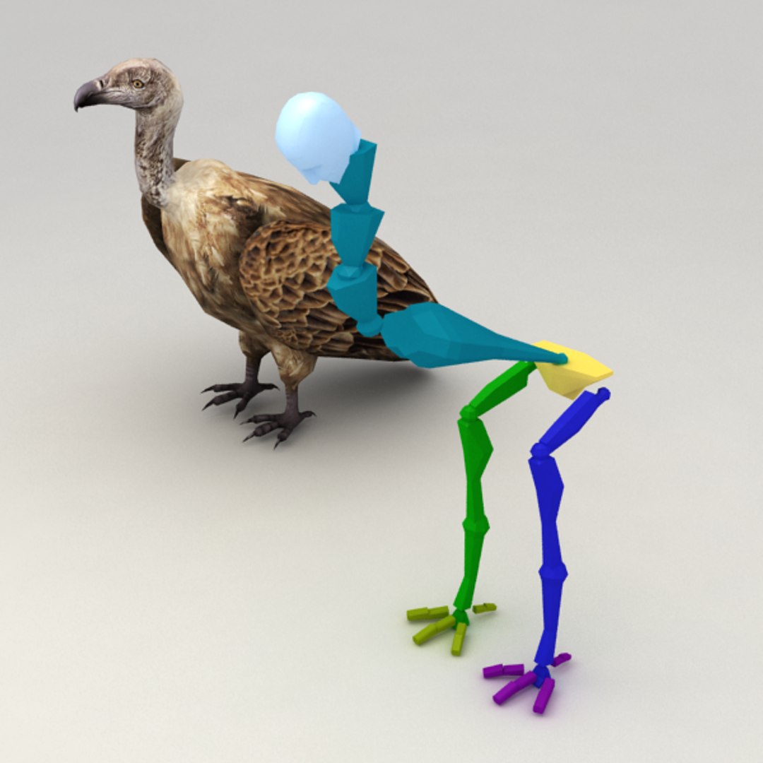 3d Max Vulture Rigged