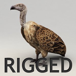 3d max vulture rigged