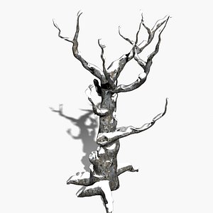 Winter Tree with Snow