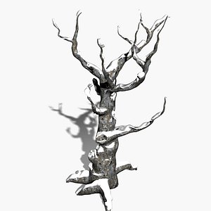 Winter Tree with Snow