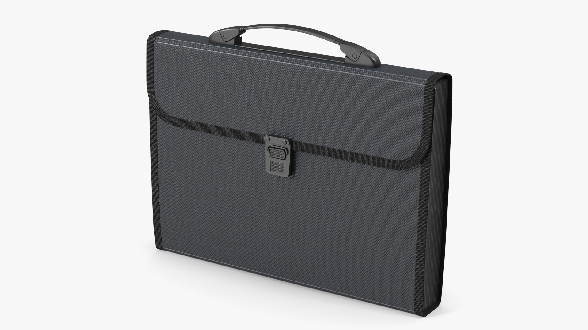 Document Organizer Case Bag Black 3D model preview