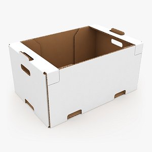 Fruit Cardboard Box v2 White model