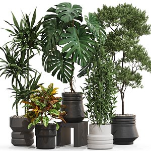 3D Plants collection 721 model