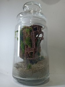 Ready PrintModels For Aquarium and Terrarium 3D model
