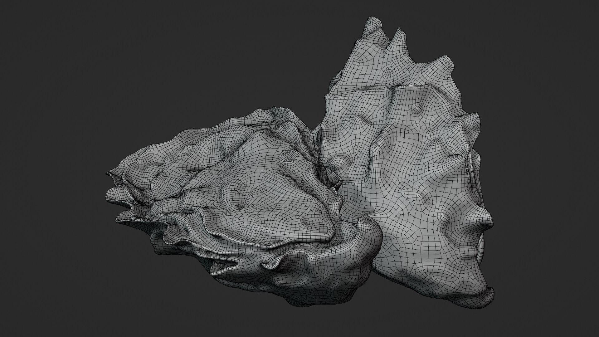 Oyster Shells 02 3D model https://p.turbosquid.com/ts-thumb/gC/hSL9G6/0q/oyster02_z0003/png/1747676833/1920x1080/fit_q87/04414872087e7e39d7768f4c5b36005c4012d4fd/oyster02_z0003.jpg