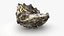 Oyster Shells 02