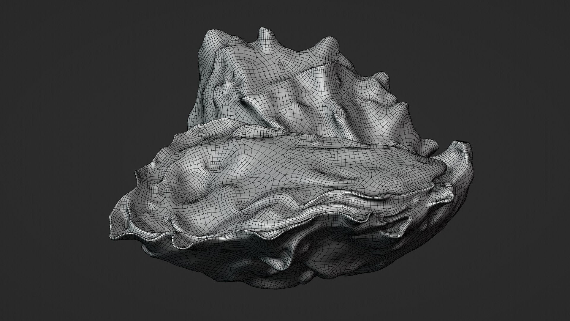 Oyster Shells 02 3D model https://p.turbosquid.com/ts-thumb/gC/hSL9G6/Tb/oyster02_z0001/png/1747676832/1920x1080/fit_q87/7d64cfceafb1082e2689de5b532ff31815ebe4b4/oyster02_z0001.jpg