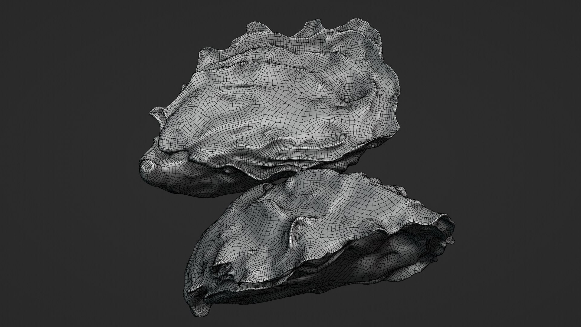 Oyster Shells 02 3D model https://p.turbosquid.com/ts-thumb/gC/hSL9G6/Yl/oyster02_z0004/png/1747676844/1920x1080/fit_q87/acc8deea787353f69d31ce6814f484ff04ad3a6e/oyster02_z0004.jpg