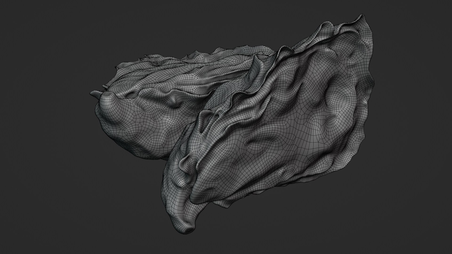 Oyster Shells 02 3D model https://p.turbosquid.com/ts-thumb/gC/hSL9G6/dx/oyster02_z0002/png/1747676833/1920x1080/fit_q87/b7ea379b4c3883c1004bf55e988f63aa3c1553d5/oyster02_z0002.jpg