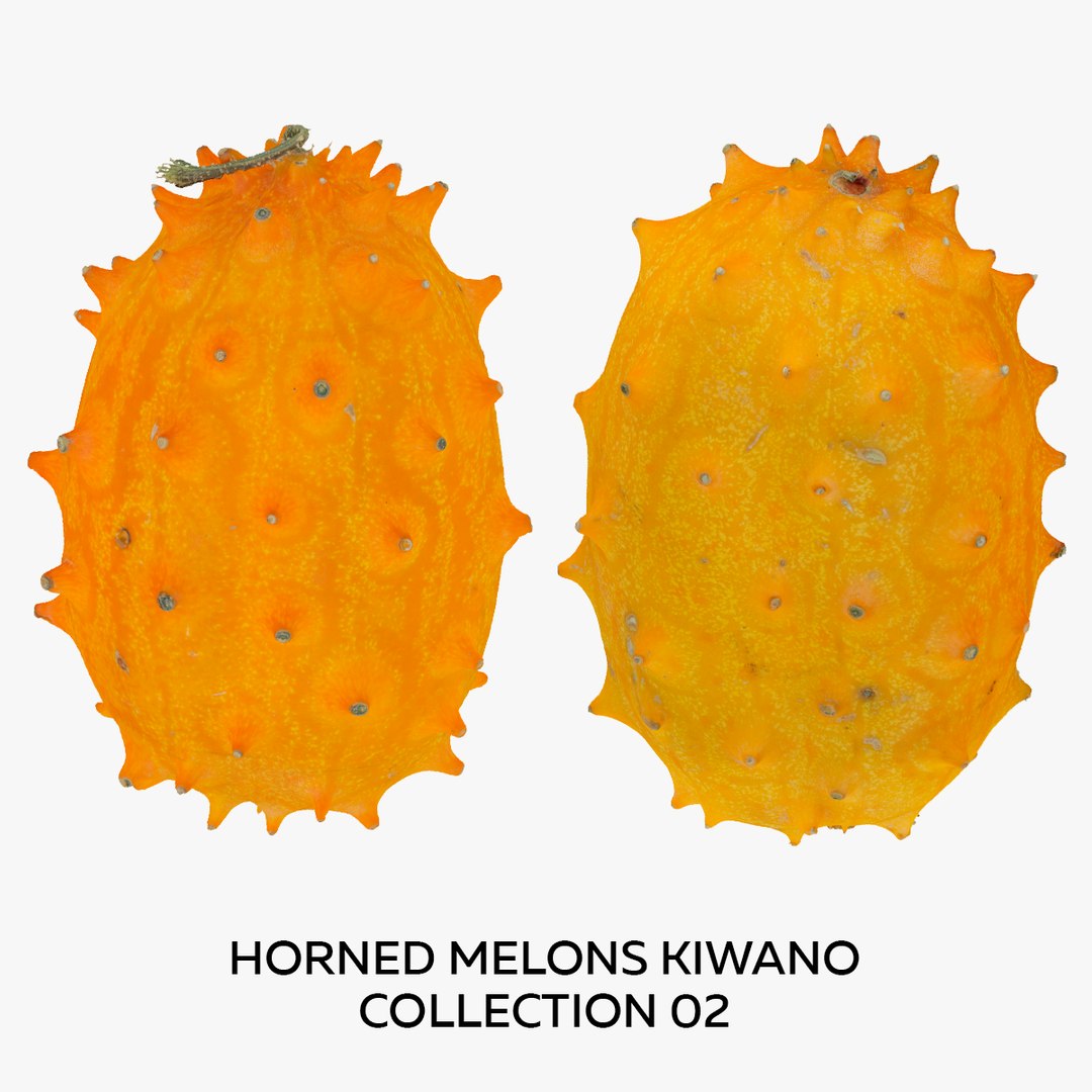 Horned Melons Kiwano Collection 02 2 models RAW Scans model TurboSquid 1830402