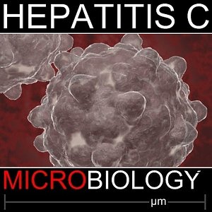 3d hepatitis c virus model