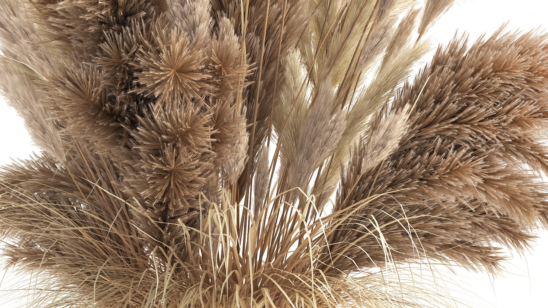 Bouquet Of Dried White Reeds In A Vase 146 3D Model - TurboSquid 1775669