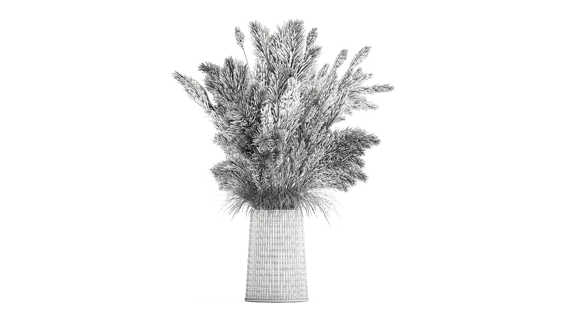 Bouquet Of Dried White Reeds In A Vase 146 3D Model - TurboSquid 1775669