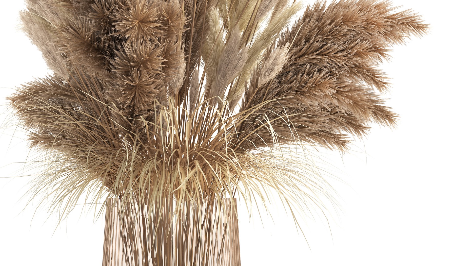 Bouquet Of Dried White Reeds In A Vase 146 3D Model - TurboSquid 1775669