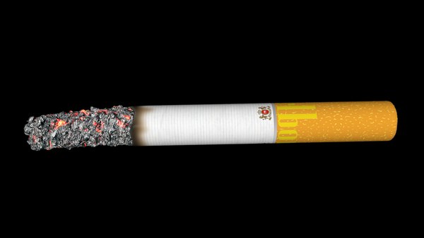 cigarette 3d model free download Cigarettes - Lit Used 2 Piece Set Cigarette 3D model - Download