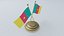 Modèle 3D du drapeau du Cameroun
