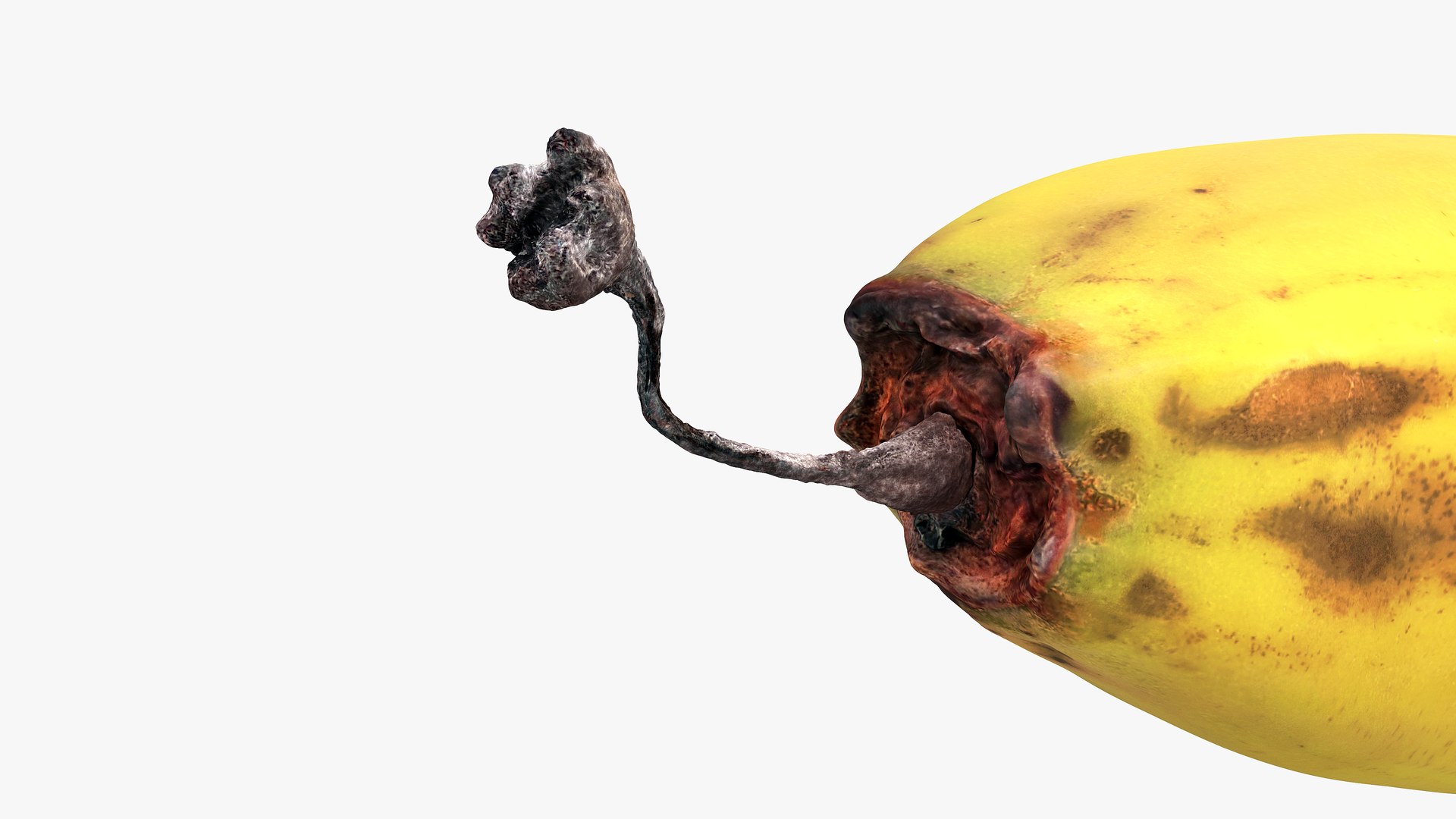 3D model yellow banana peel https://p.turbosquid.com/ts-thumb/gD/YsTg9x/C5qc5QsN/06productshotflowertip/png/1584622752/1920x1080/fit_q87/22847d2fc0433e7d3c28d367819ab9533546ca74/06productshotflowertip.jpg