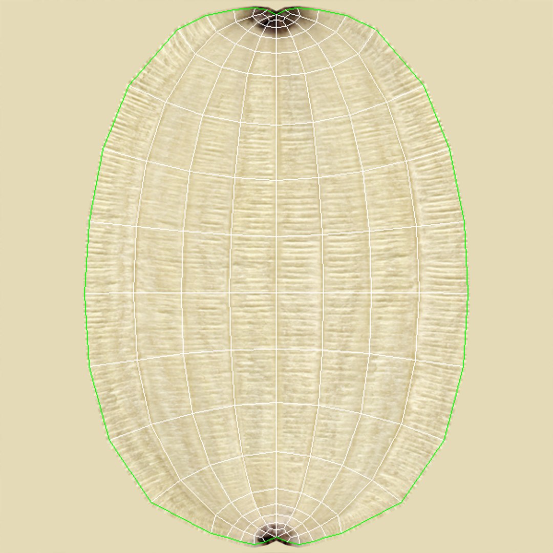3D model yellow banana peel https://p.turbosquid.com/ts-thumb/gD/YsTg9x/CgpgA1EO/16diffusebodyunwrap/png/1584622753/1920x1080/fit_q87/b5ee245cd507338227c519c5bcefc20279dd61ba/16diffusebodyunwrap.jpg