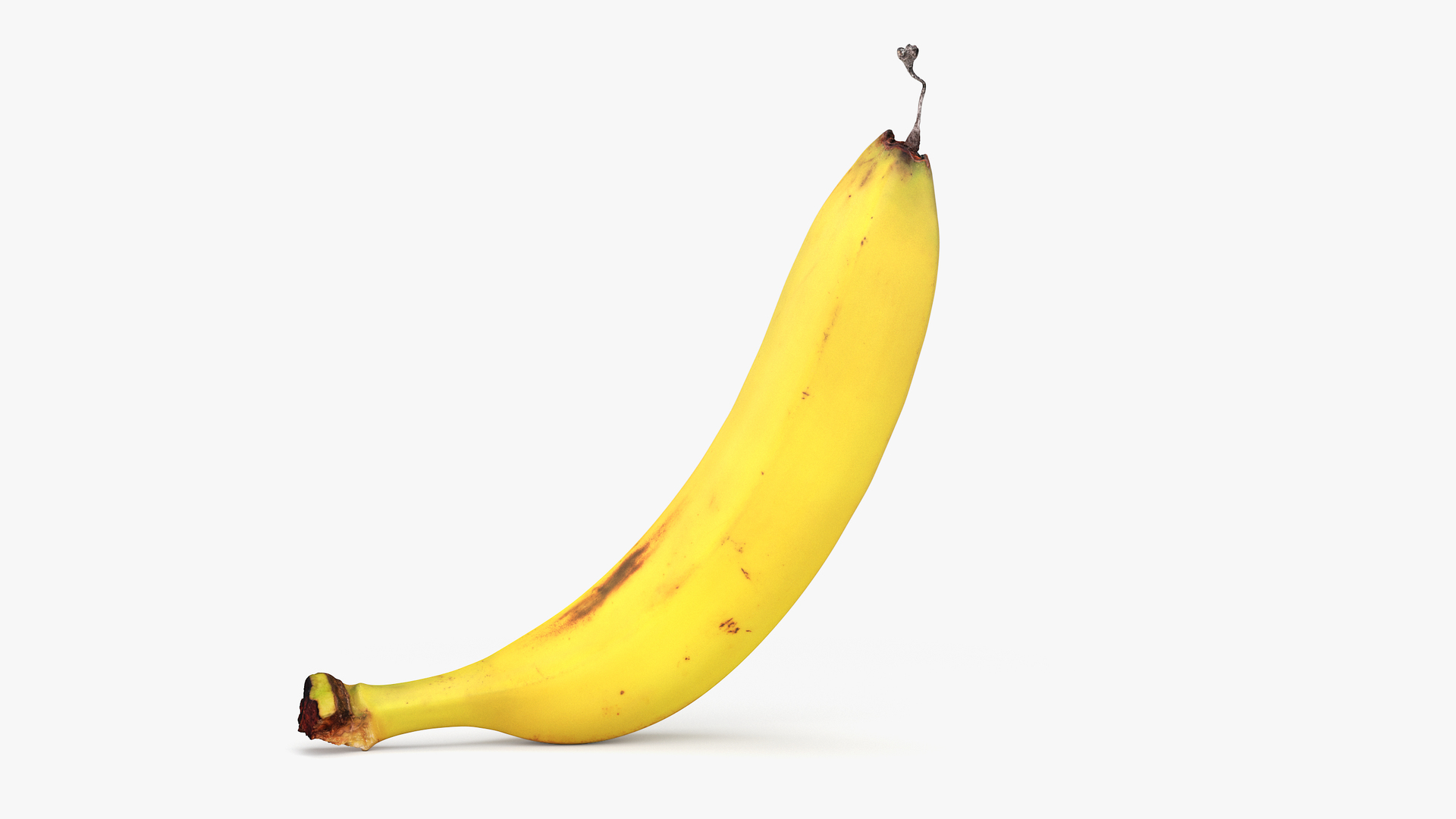 a banana peel 3D Model in Fruit 3DExport