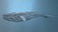 3D blue whale for game