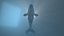 3D blue whale for game