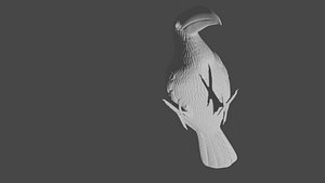 printable keel billed toucan