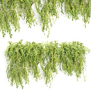 3D Low Poly Hanging wall plants N51804 model