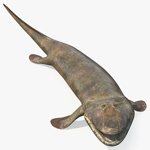 Hunting Tiktaalik