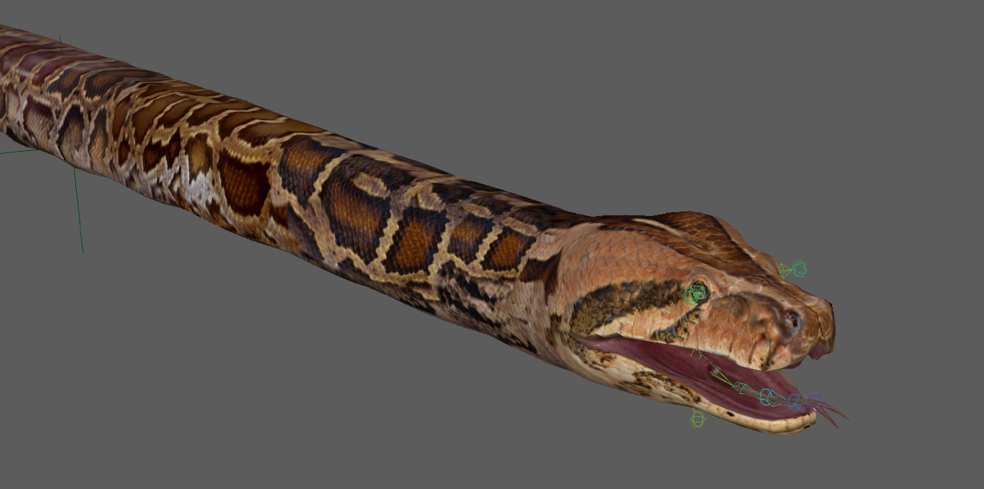 Burmese Python Snake 3D model - TurboSquid 2179579