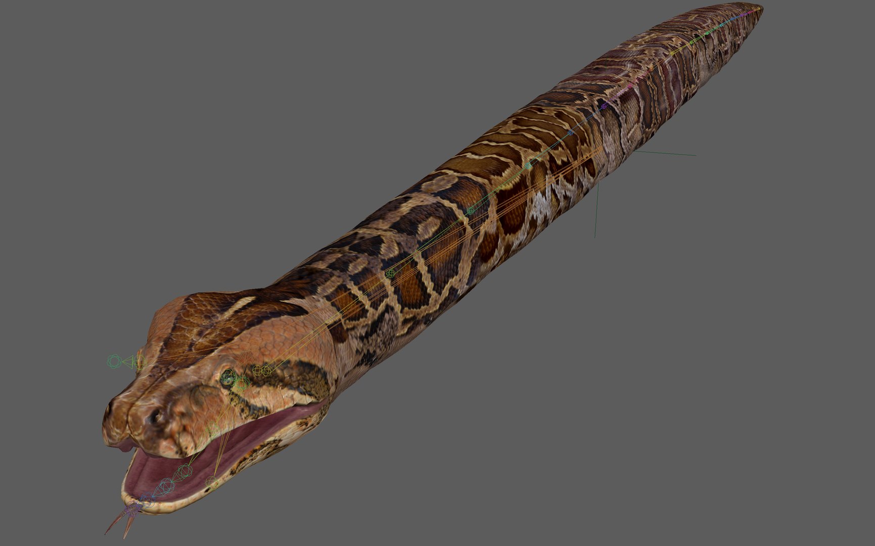 Burmese Python Snake 3D model - TurboSquid 2179579