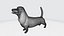 Pacchetto cani stampabile
