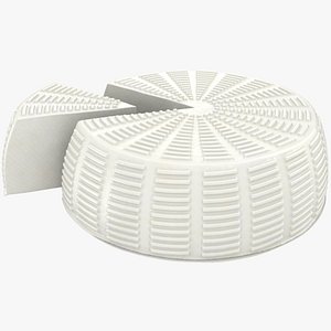 3D realistic wheel soft salty