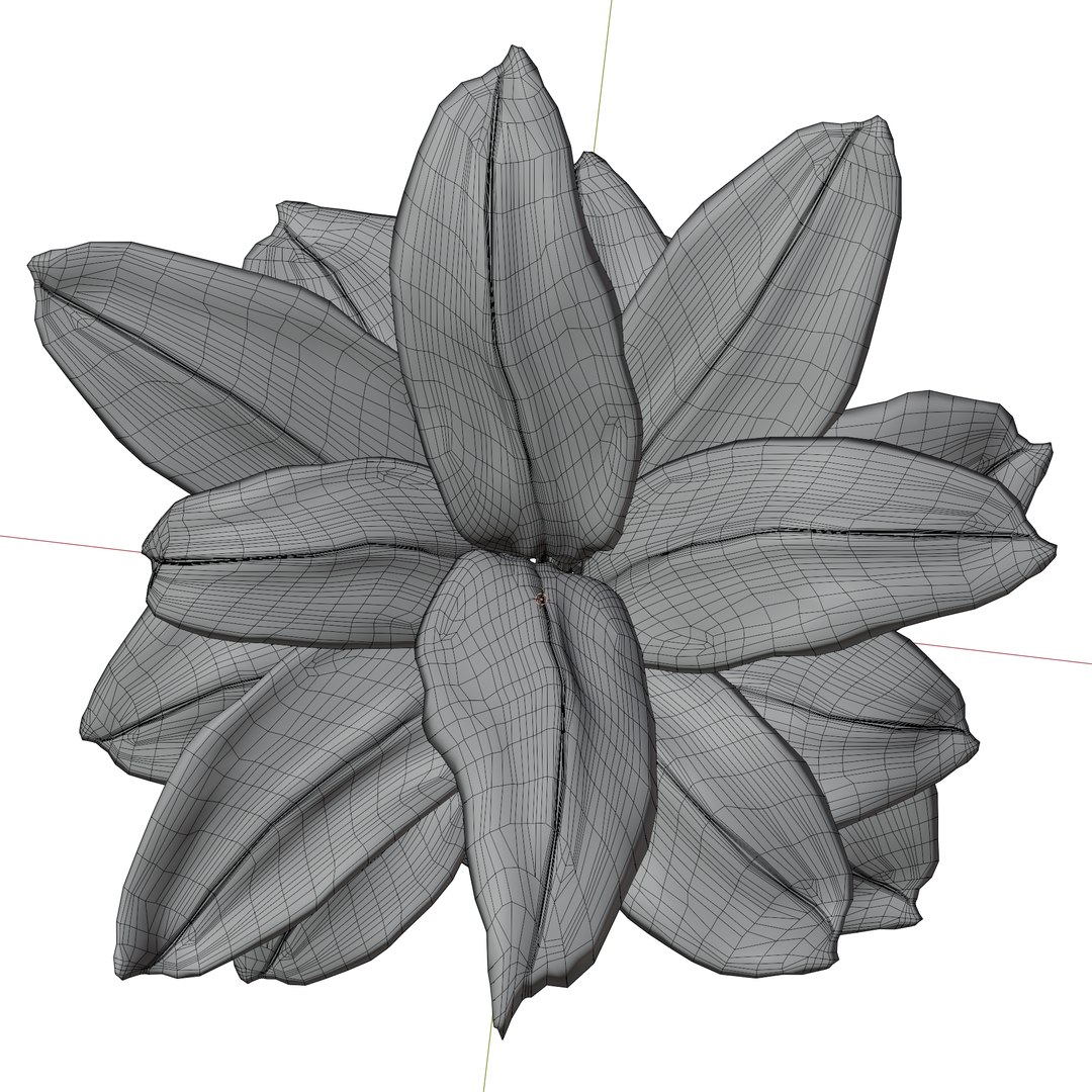 3D Calathea Zebrina or Zebra plant https://p.turbosquid.com/ts-thumb/gE/HaXuFv/b5/wire/png/1781261160/1920x1080/fit_q87/ca5904a2cce335f88438a5d3eff778833d7755fd/wire.jpg