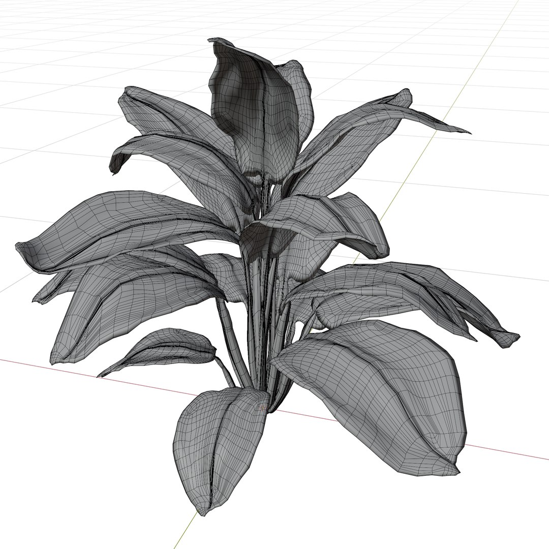 3D Calathea Zebrina or Zebra plant https://p.turbosquid.com/ts-thumb/gE/HaXuFv/wX/wire2/png/1781261161/1920x1080/fit_q87/4f6722b8fe900aa65df4b36f30b712f437fa3162/wire2.jpg