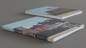 3D model Art Book