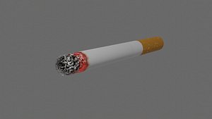 3D 3D Used Cigarette Model